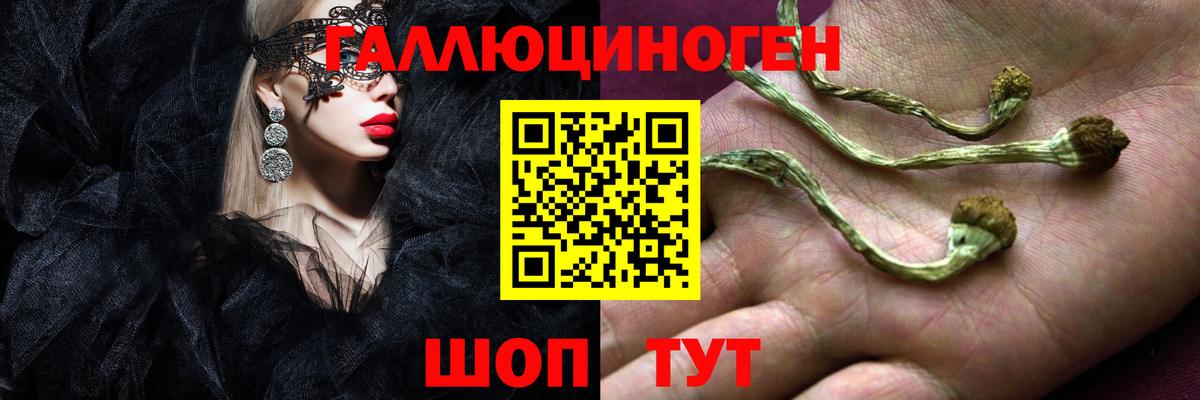 Псилоцибиновые грибы прущие грибы  Псилоцибиновые грибы мухоморы  Вход с VPN  купить наркотик  Гудермес 